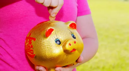 Piggy bank