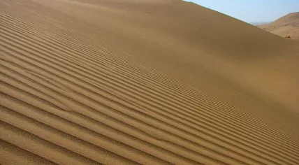 A sand dune in the Sahara desert