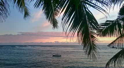 Mirissa, Sri Lanka