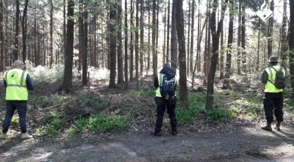 Police search a forest near Nunspeet for missing Ellen Hagenbeek, 4 May 2018