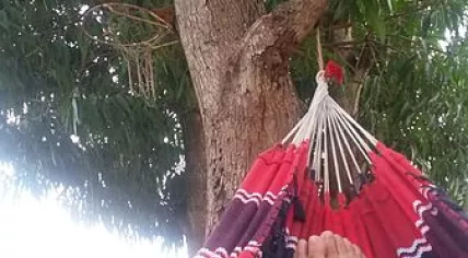 Hammock