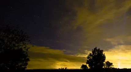 Summer night