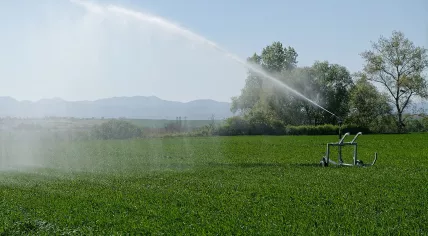 Irrigation 