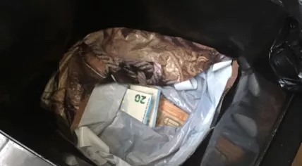 €220,000 found in a trash can in a home on Philip Vingboonsstraat in Rotterdam, 5 June 2018
