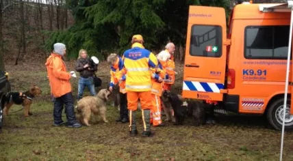 RHWW rescue dogs