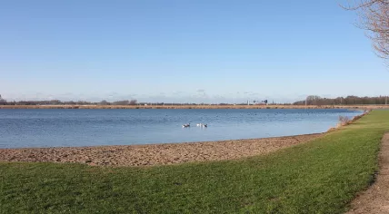 Krabbeplas
