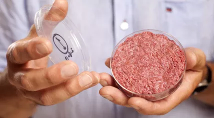 Mosa Meat cultured beef hamburger patty