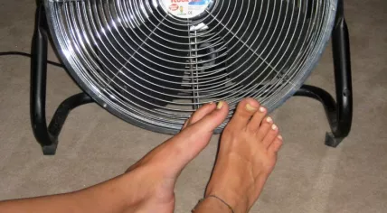 Fan, summer