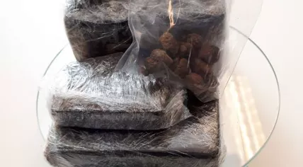 750 grams of hash found buried in city partk Osdorp in Amsterdam, August 2018