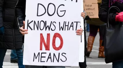 Protest sign against sexual harassment
