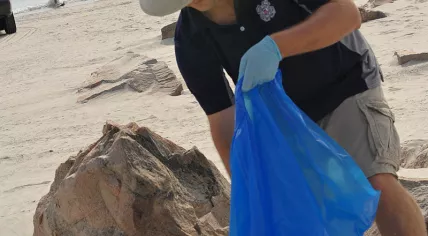 Beach cleanup