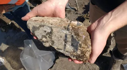 Roman construction material with plaster; found in Katwijk, Sept 2018