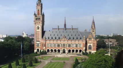 The Peace Palace in The Hague