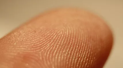 Fingerprint 