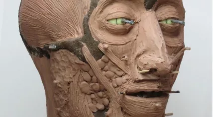 Huis van Hilde reconstructed the face of a Russian soldier killed in a battle at Castricum in 1799