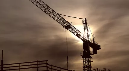 Crane