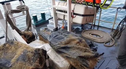 239 kilos of cannabis found underneath a ship in Rotterdam's Maasvlakte, 11 November 2018