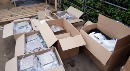 Hundreds of kilos of drugs found in a shipment of Christmas decorations in Hazerswoude, 27 November 2018