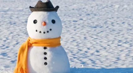 Snowman