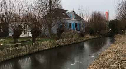 Ice forming on a waterway in Amsterdam’s Schellingwoude neighborhood, 21 Jan 2019