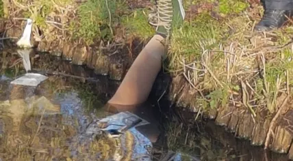 Wooden leg found in Amsterdam river
