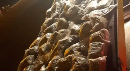 67 kilos of cannabis, 69 packets of hash found in trunk of Groningen man's car, 27 Feb 2019
