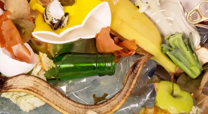 Food waste