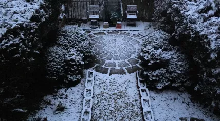 Snowy garden in Amsterdam Oost, 1 Feb 2019