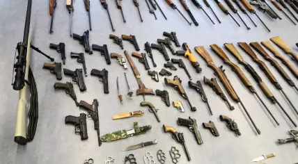 262 weapons surrendered to Rotterdam police during no-questions-asked action, 4 Feb 2019