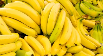 Bananas