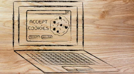 Accept cookies