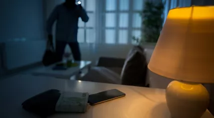 Burglar