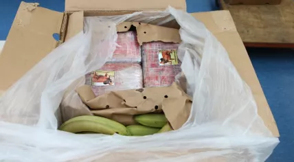 3,300 kilos of cocaine seized at a warehouse in Hazeldonk, January 2017