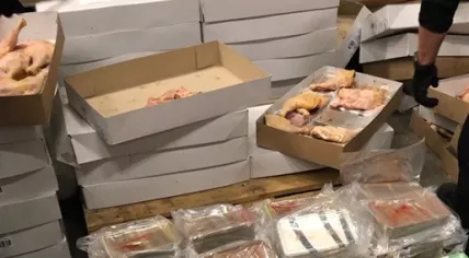 Crystal meth and metamine found in a shipment of frozen drumsticks at a transport company in De Lier, 17 April 2019