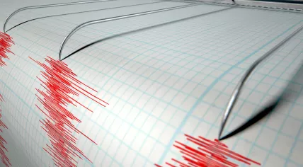 Seismograph showing earthquake activity