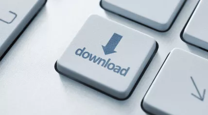 Download button