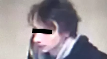 Thijs H. suspected in three fatal stabbings in The Hague and Heerlen