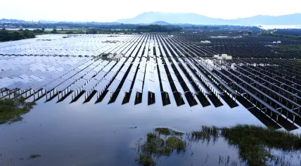 Solar panels on the water