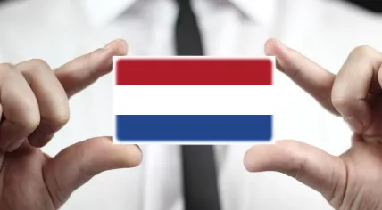 Dutch flag on a business card
