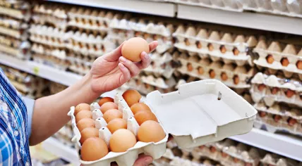 Eggs