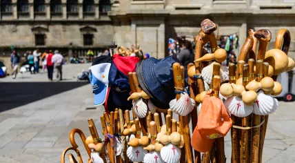 Santiago shells on walking sticks sold to people making the pilgrimage to the Spanish town of Santiago de Compostela