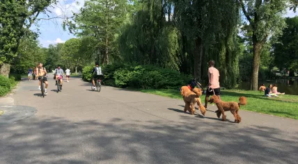 People enjoying the summer weather in Oosterpark in Amsterdam, 23 June 2019