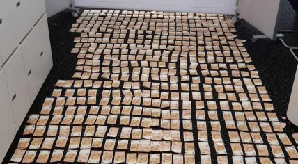 €68,000 drying out at a Rotterdam police station after a man jumped into the Maas river with the cash in his pocket, 11 July 2019