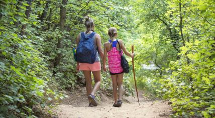 Kids walking in the woods