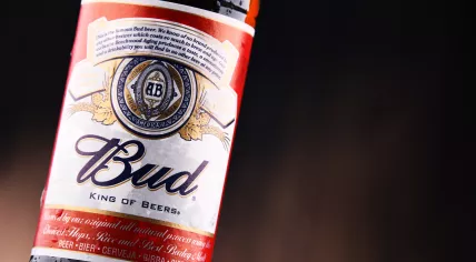Budweiser