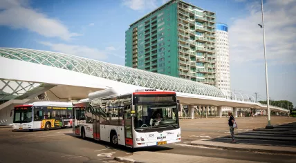 HTM buses at Den Haag Centraal