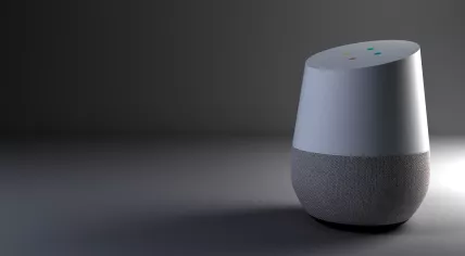 Google Assistant