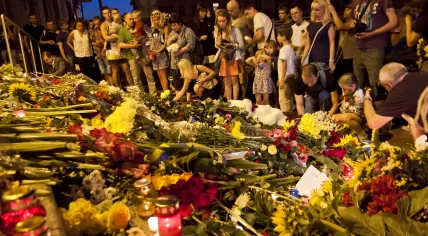 People place flowers at Dutch embassy