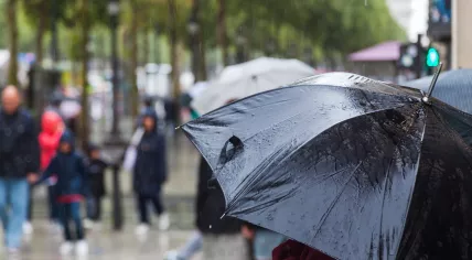 Rainy weather