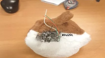Hidden camera in a toy a stranger gave to a toddler in Zuidzande, 7 August 2019